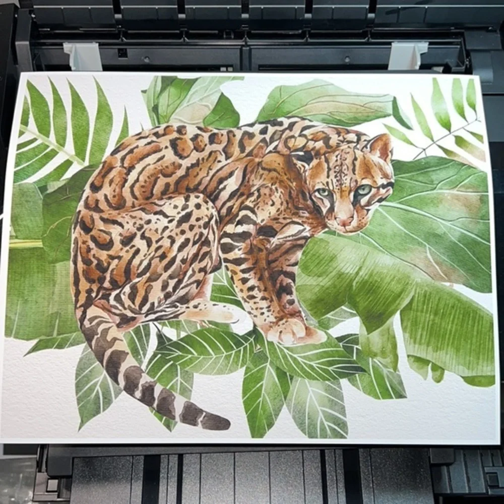 Watercolor Wall Art Wild Cat Ocelot Portrait Print Poster Unframed - Picture 16 of 17